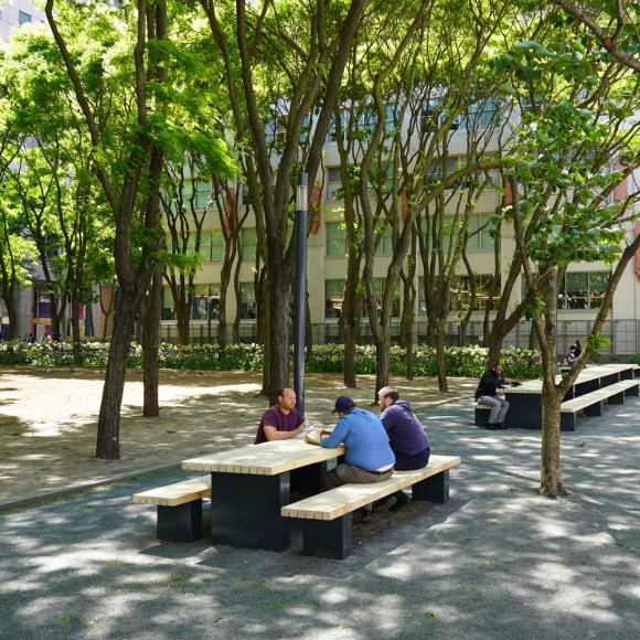 Solid Linear Picknicksets