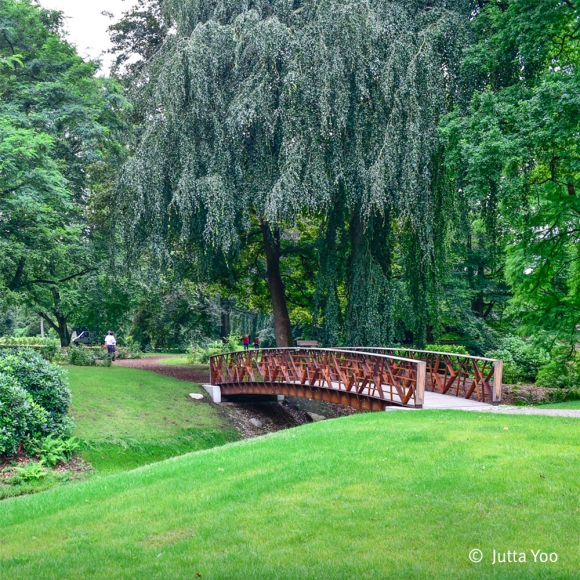 Branches Bridge