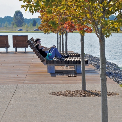 Rough&Ready Lounger, Shelby Farms, Memphis