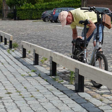 Rough&Ready Inline Fahrradständer