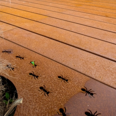 Dotsdeck®