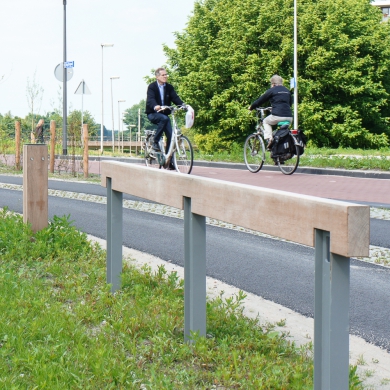 Rough&Ready Inline Fahrradständer